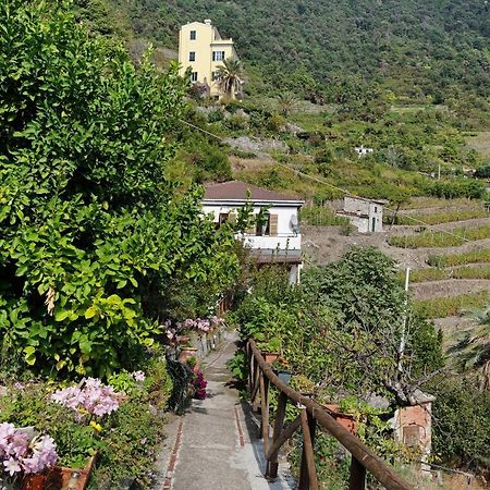 Villa Lardarina Corniglia Luaran gambar
