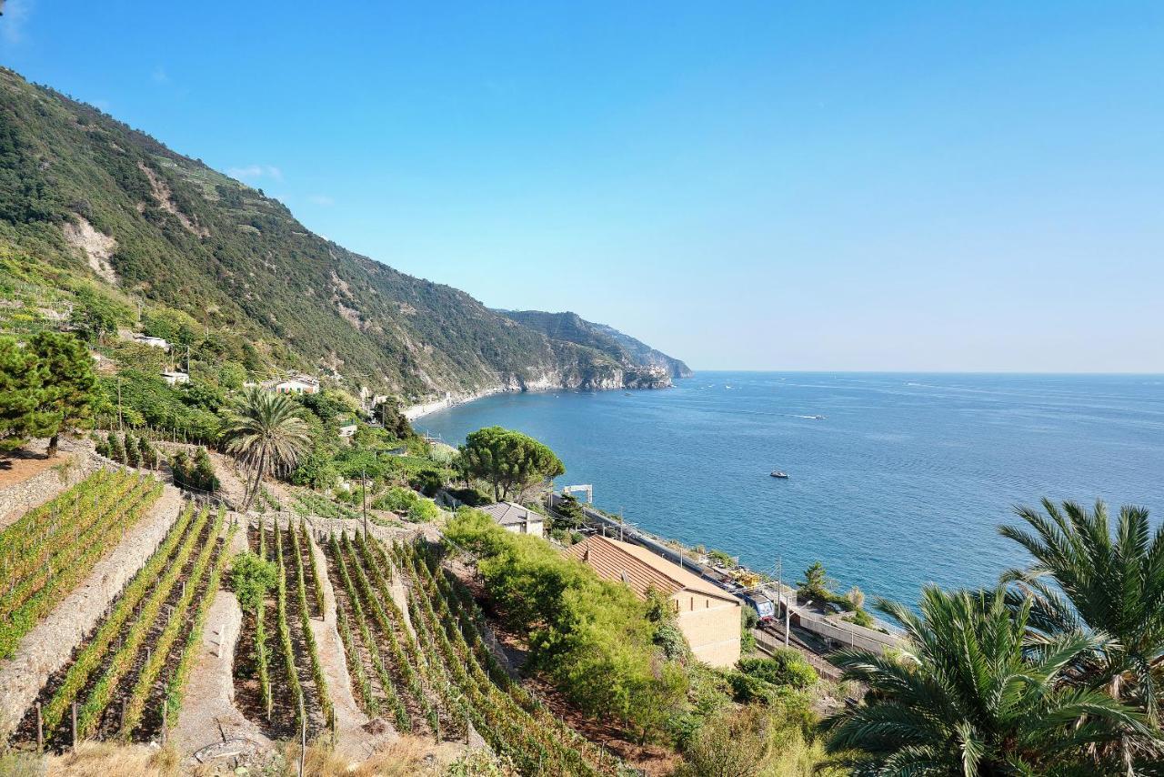 Villa Lardarina Corniglia Luaran gambar