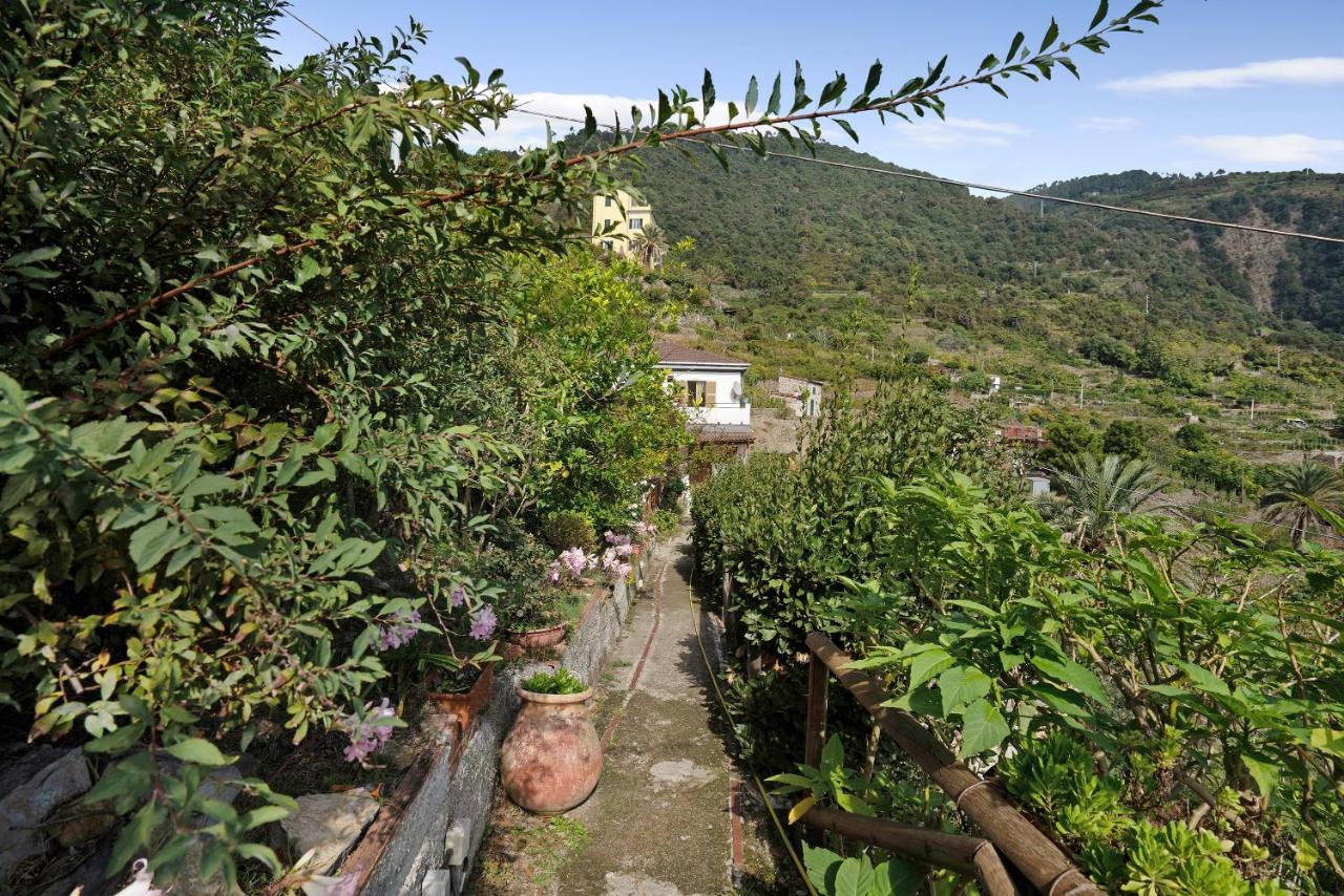 Villa Lardarina Corniglia Luaran gambar
